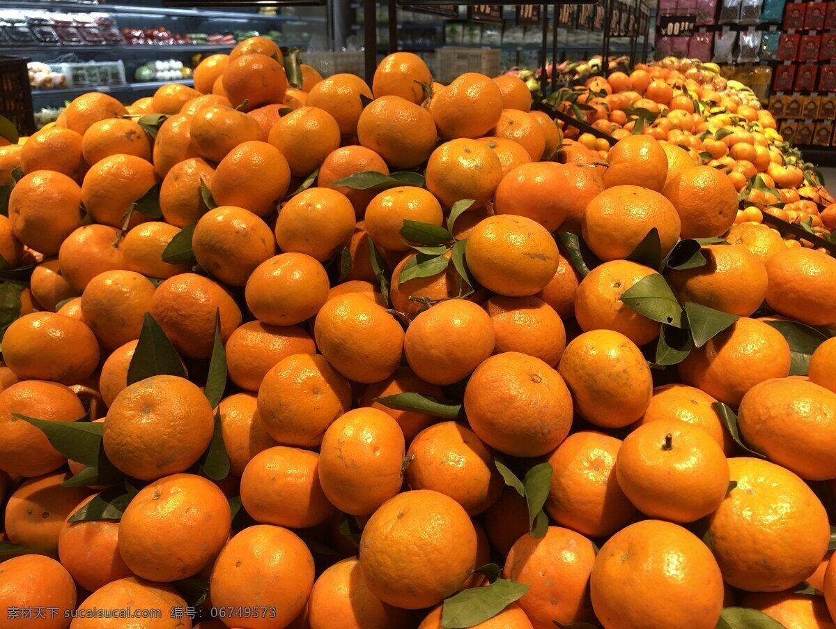 砂糖橘 桔子 甜 水果 超市水果 美味 健康 绿色 生鲜 生物世界