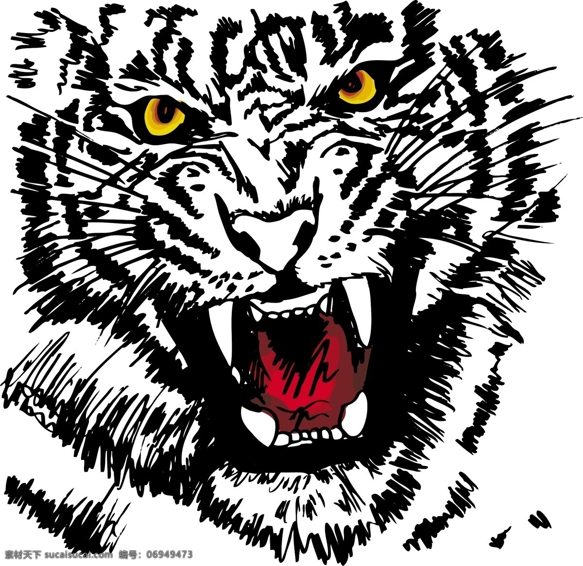 凶猛 老虎 素描 动物 动物素材 动物插画 动物素描 老虎素材 矢量素材 陆地动物 生物世界 白色