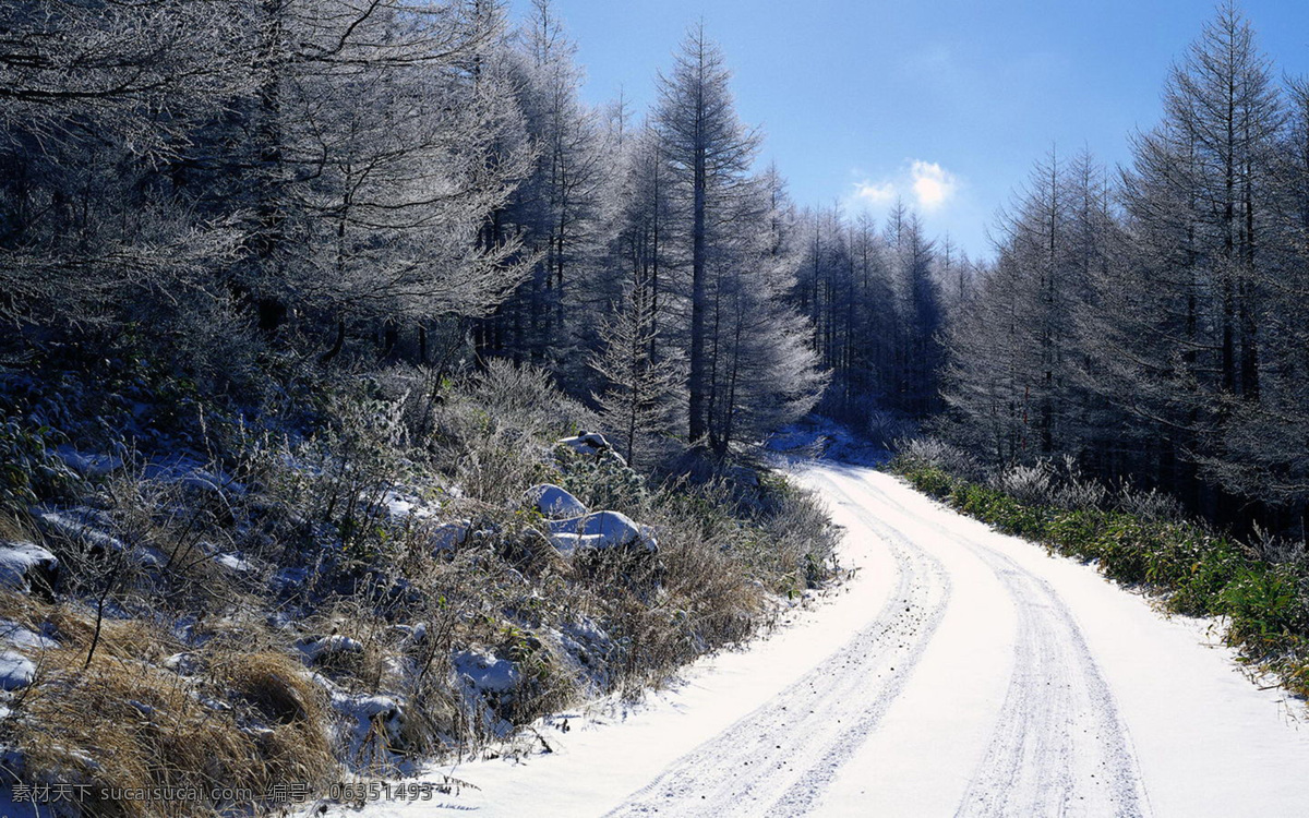 冬季 盘山路 白雪 道路 公路 山路 树 树木 松树 雪 风景 生活 旅游餐饮