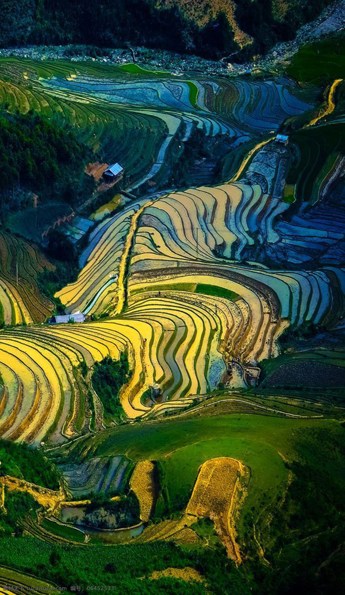 梯田 绿色 自然 背景 农业 生态 田园 农田 田野 自然景观 自然风景