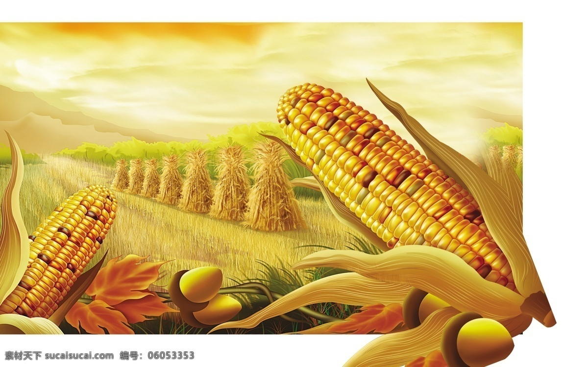 玉米图片 玉米 食物 农作物 分层
