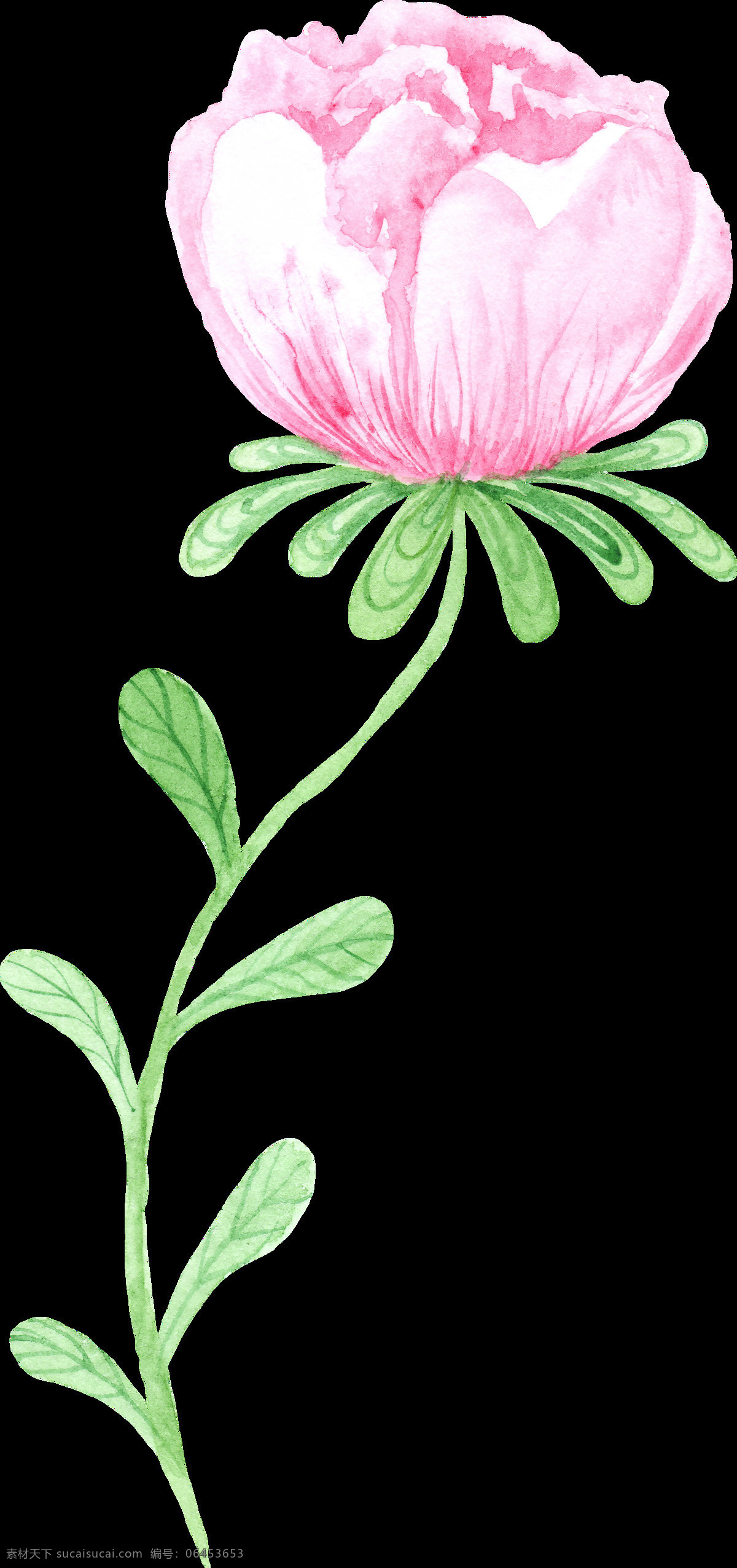 绿色 缤纷 枝叶 免 扣 合集 插画 花朵 花蕊 花枝 幻彩 卡通 植物 紫色
