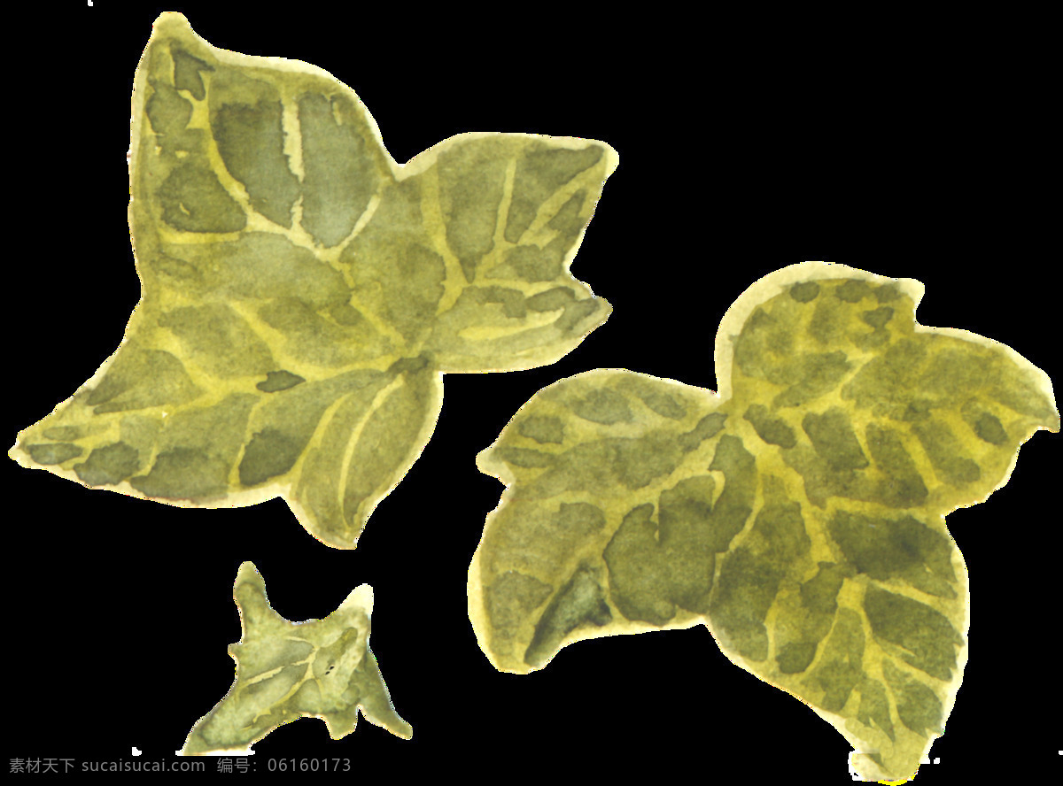 翠绿 树叶 透明 装饰 设计素材 背景素材
