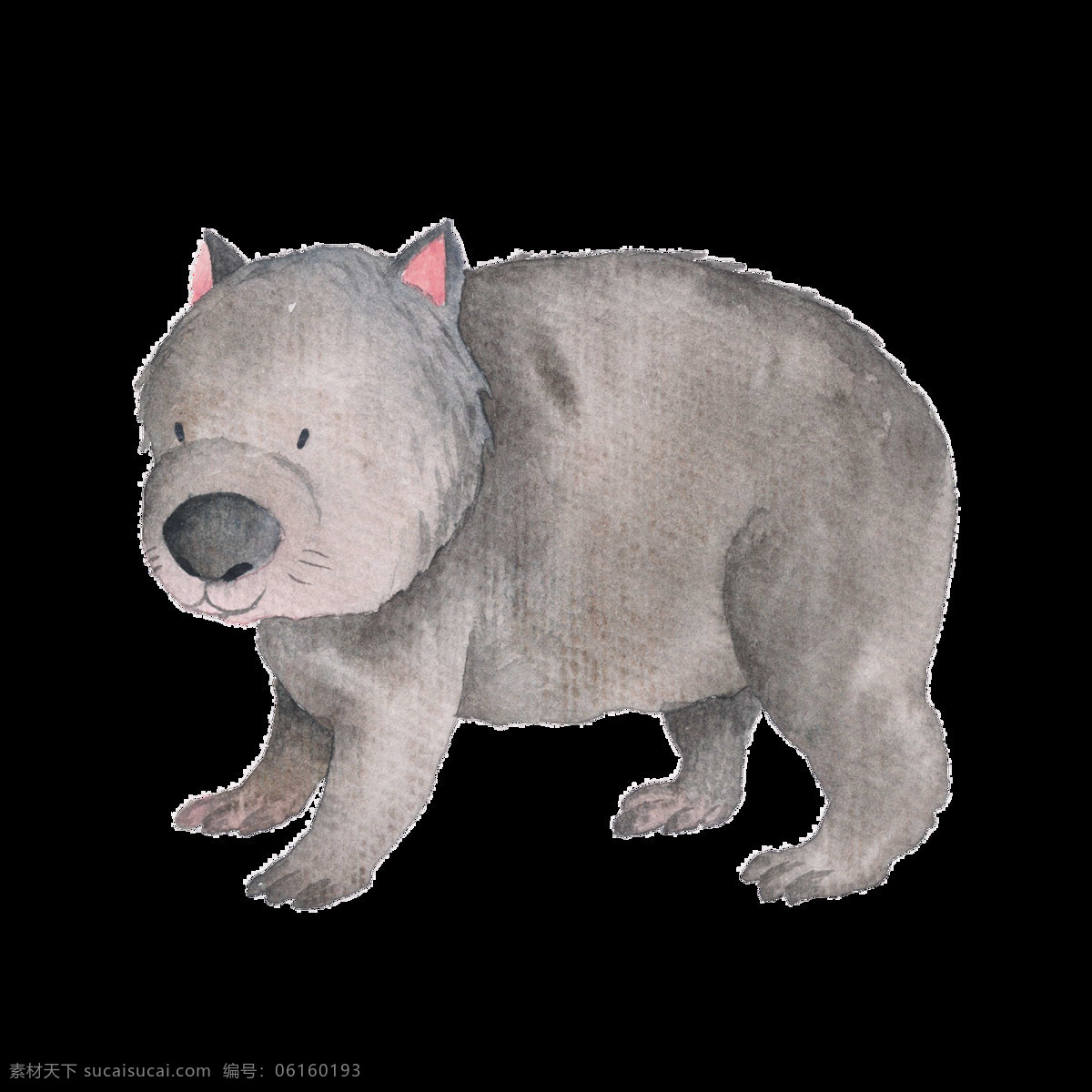 手绘 灰色 树熊 透明 动物 小熊 透明素材 免扣素材 装饰图案