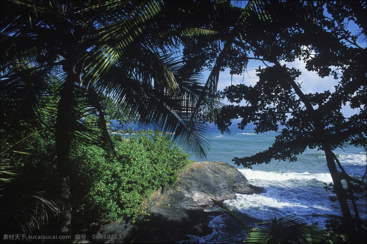 大 海边 茂密 树丛 大海 漂亮 美景 风景 海岸 岸边 加勒比海岸 高清图片 大海图片 风景图片