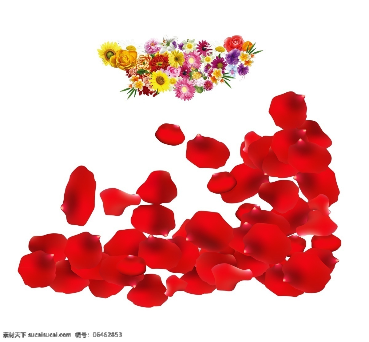 花瓣 花朵 材 矢量花瓣 矢量花瓣素材 红色花瓣素材 鲜花花瓣 玫瑰花瓣 飞舞的花瓣 动感花瓣 梦幻 粉色花瓣 鲜花 樱花 飘落 桃花 飘零花瓣 精美花瓣 花瓣素材 精美花瓣素材 花瓣背景 鲜花花朵 春季花朵 春天花朵 春季素材