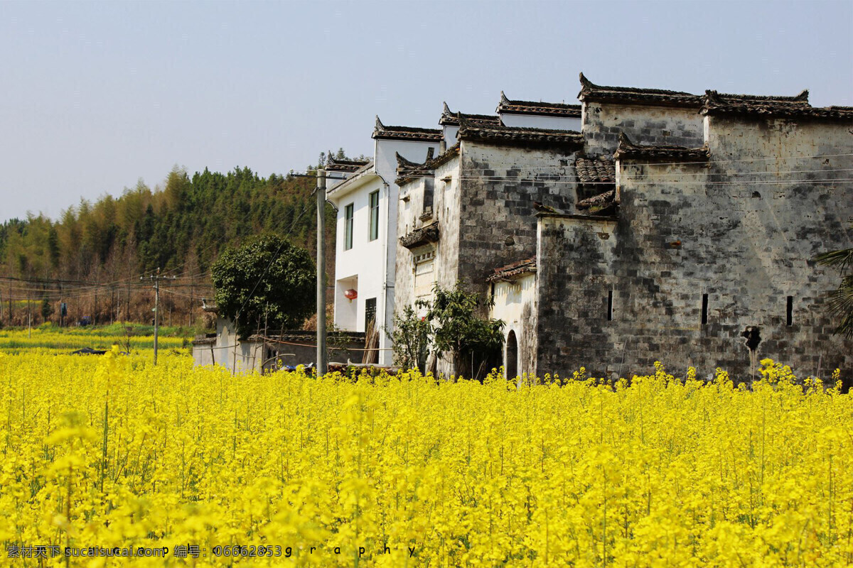 婺源风景 婺源风光 婺源景色 婺源建筑 安徽风景 安徽民居 徽派建筑 旅游摄影 国内旅游