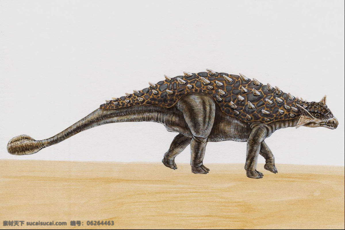 锤龙 恐龙 侏罗纪 恐龙时代 恐龙绘画 恐龙手绘 恐龙复原图 生物世界