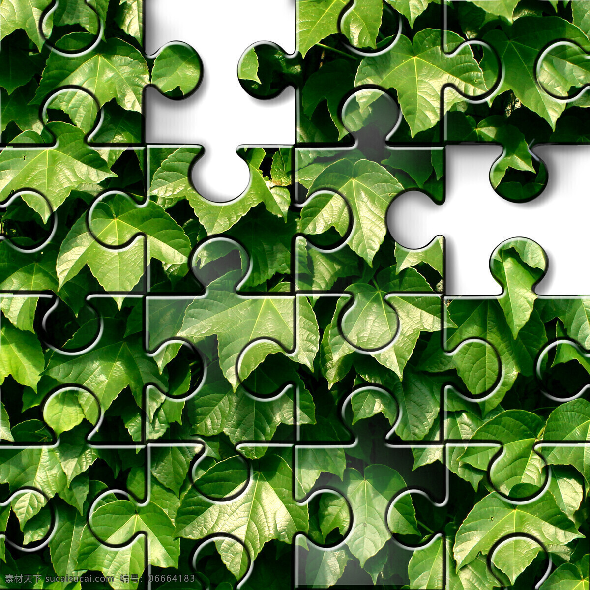 拼图 植物 叶片 绿色 拼图图案 绿叶