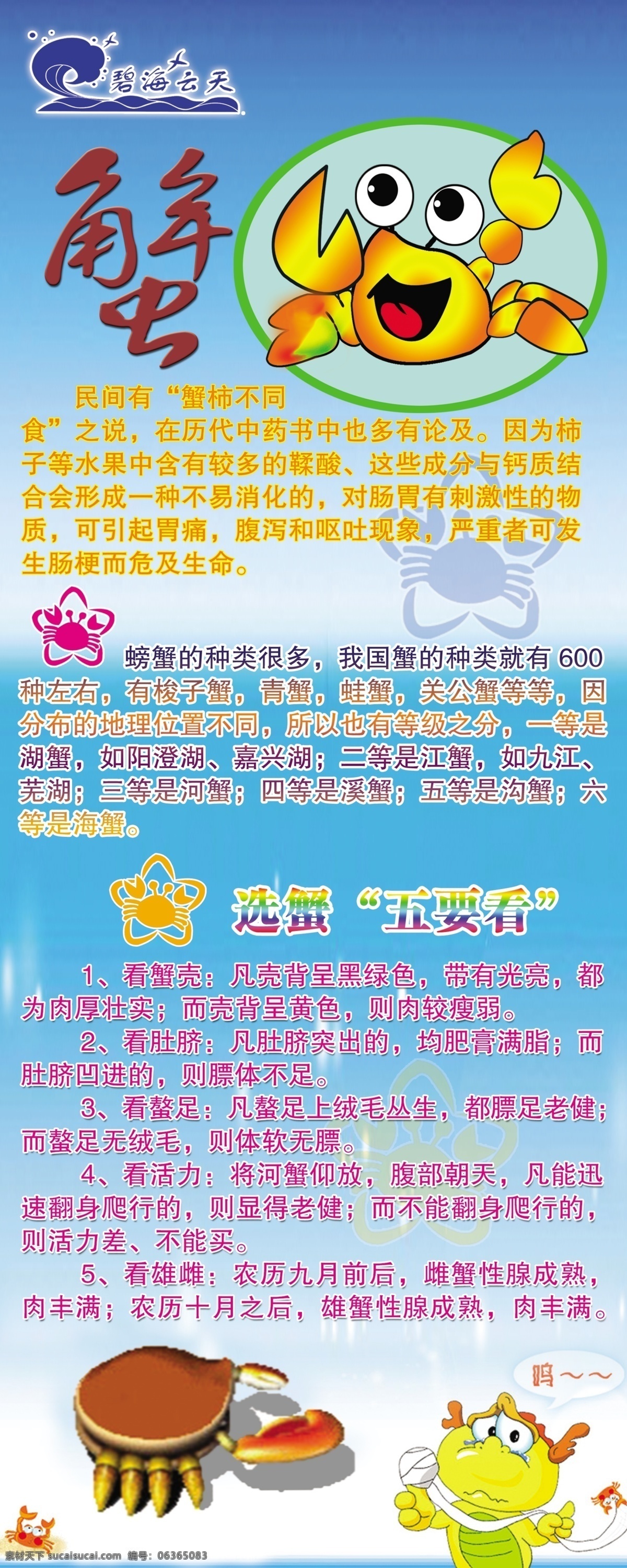 易拉宝 螃蟹 分层 蓝色 源文件 模板下载 易拉宝螃蟹 粉红色星星 展板 易拉宝设计