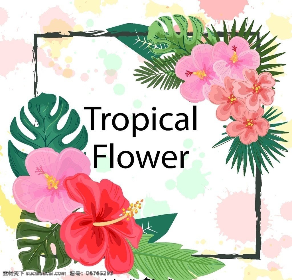 热带 花卉 框架 热带花卉 扶桑花 棕榈树叶 矢量图 源文件 矢量 高清图片