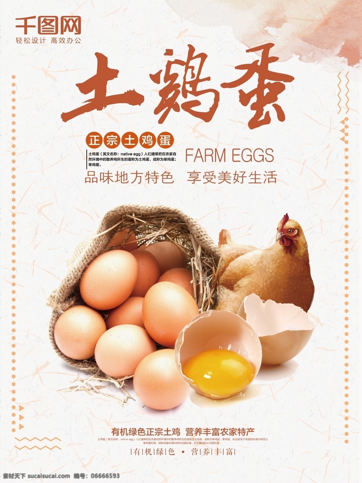 简约 清新 农家 土 鸡蛋 食品 农家土鸡蛋 海报
