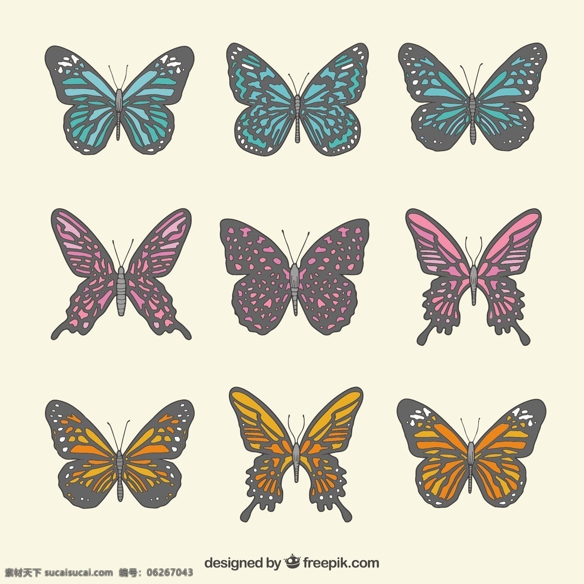 带 灰 厚度 蝴蝶 一方面 自然 动物 手绘 可爱 绘画 飞灰 包 可爱的动物 昆虫 飞行 绘制草图 草图 白色