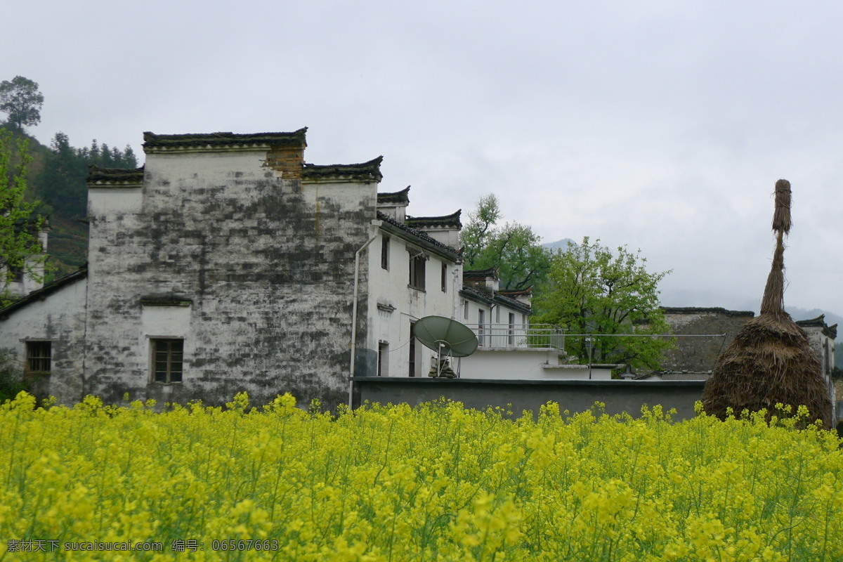 婺源油菜花 婺源 黑瓦白墙 烟雨婺源 油菜花 江西 国内旅游 旅游摄影 灰色