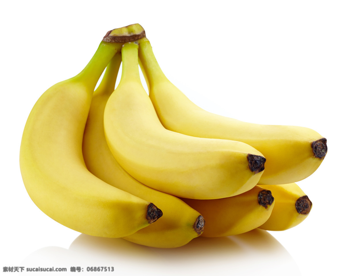香蕉图片 香蕉 香蕉树 果实 成熟 粉蕉 大蕉 板蕉 生物世界 水果
