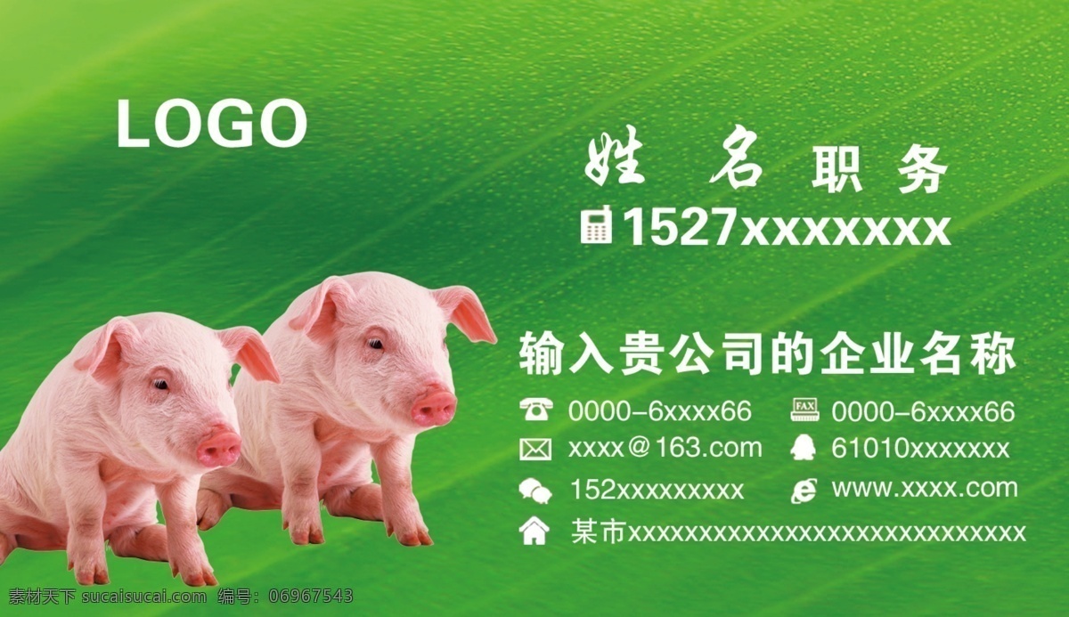猪名片图片 猪名片 养猪名片 猪场名片 饲料名片 饲料厂名片 屠宰场名片 猪贩名片 养猪 名片 猪 卡通猪 卡通小猪 养猪大王 卖猪名片 农业名片 猪肉名片 养猪合作社 名片卡片 高档猪舍名片 高贵养猪名片 屠夫名片 养猪场名片 猪圈名片