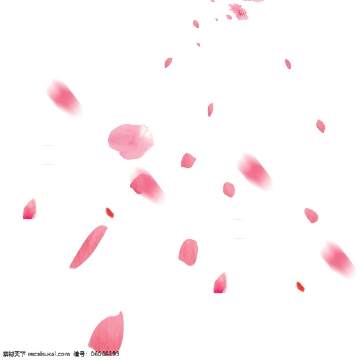 粉红色 花瓣 装饰 元素 玫瑰花 红色 婚礼 飘落 飘散 玫瑰 爱情 情人 玫瑰花瓣 花朵 浪漫 红色玫瑰花瓣
