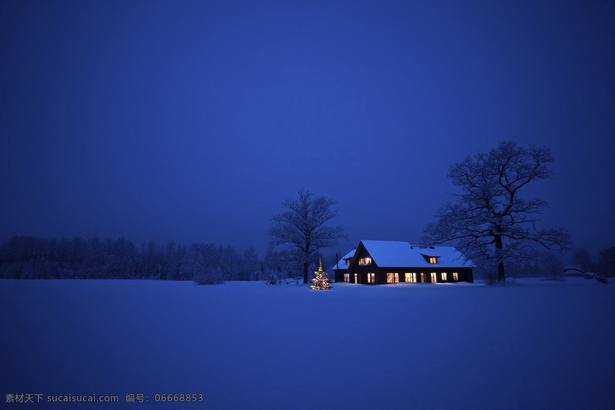 夜景 雪景 房子 建筑 圣诞树 冬天 冬季 景观 底纹背景 圣诞节 雪地 自然风景 自然景观 蓝色