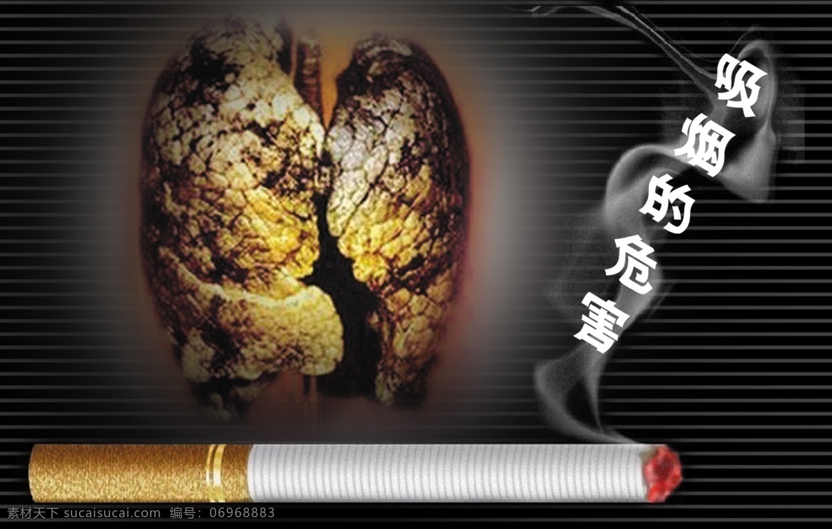 吸烟的危害 肺 香烟 枫叶 黑色条文 黑色背景 国内广告设计 广告设计模板 源文件