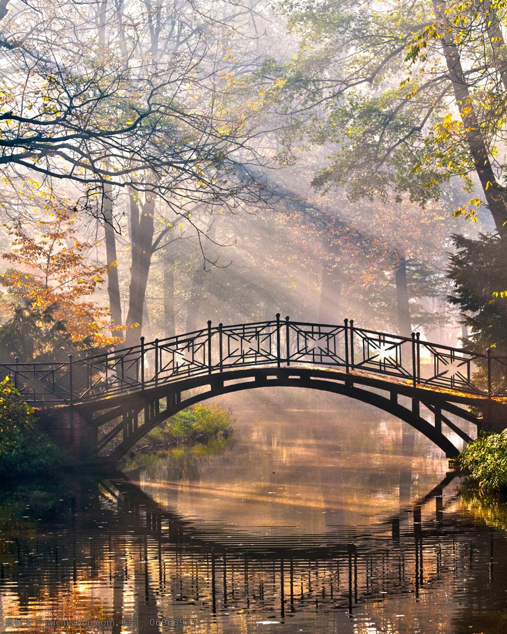 小桥流水 阳光 茂密 森林 小桥 小河 高清 意境 梦幻 树林 高清图片素材 自然景观 自然风景
