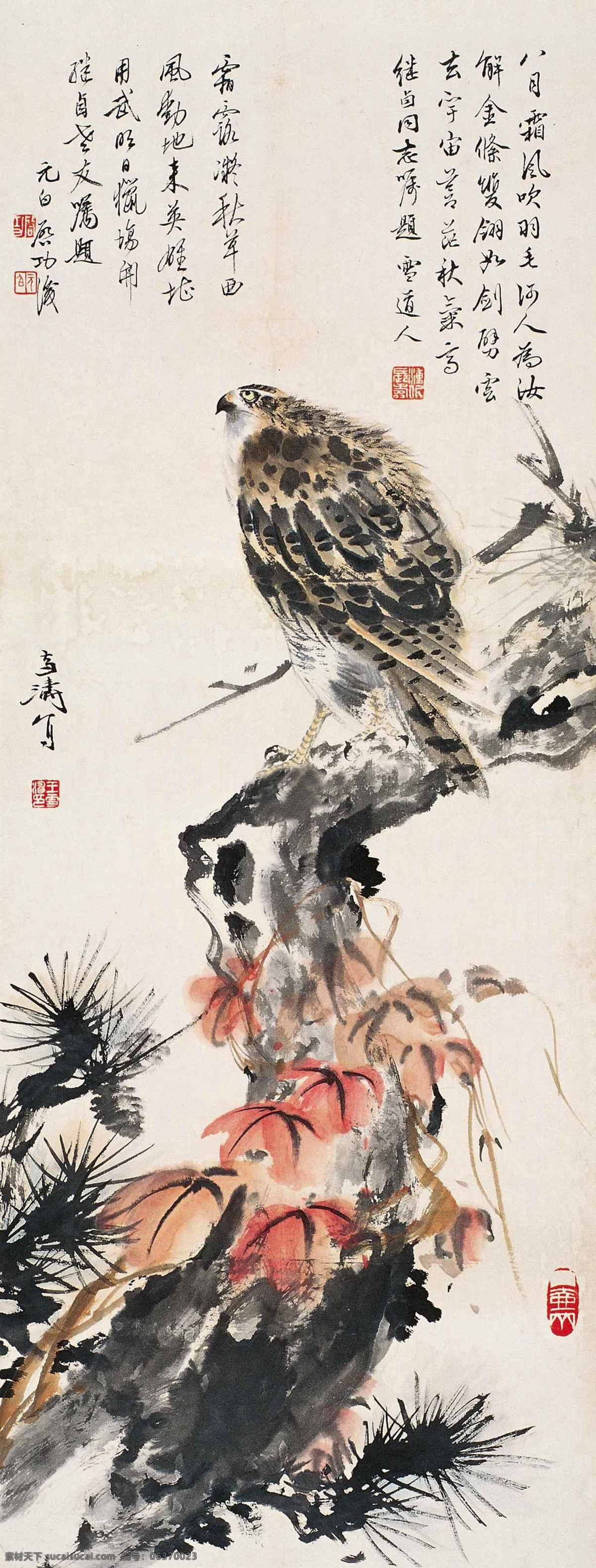 国画 花鸟 绘画书法 老鹰 水墨 水墨画 松树 松 鹰 图 设计素材 模板下载 松鹰图 王雪涛 苍鹰 写意 中国画 文化艺术