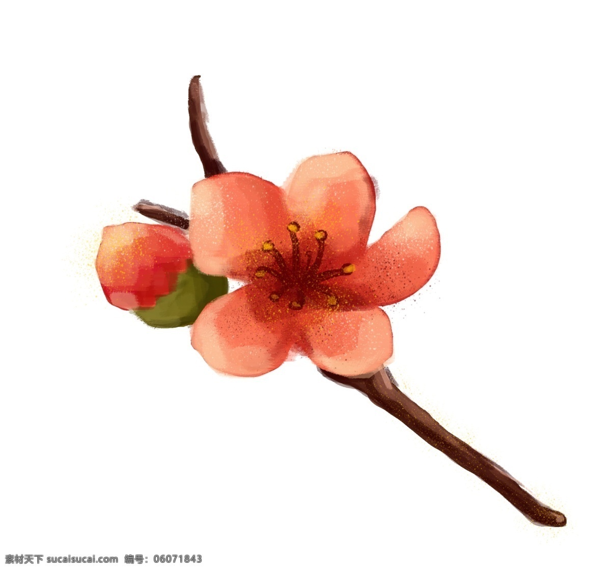 橘黄色 桃花 插画 橘黄色的桃花 漂亮的桃花 褐色的树枝 绿色的叶子 手绘桃花 卡通桃花 桃花装饰