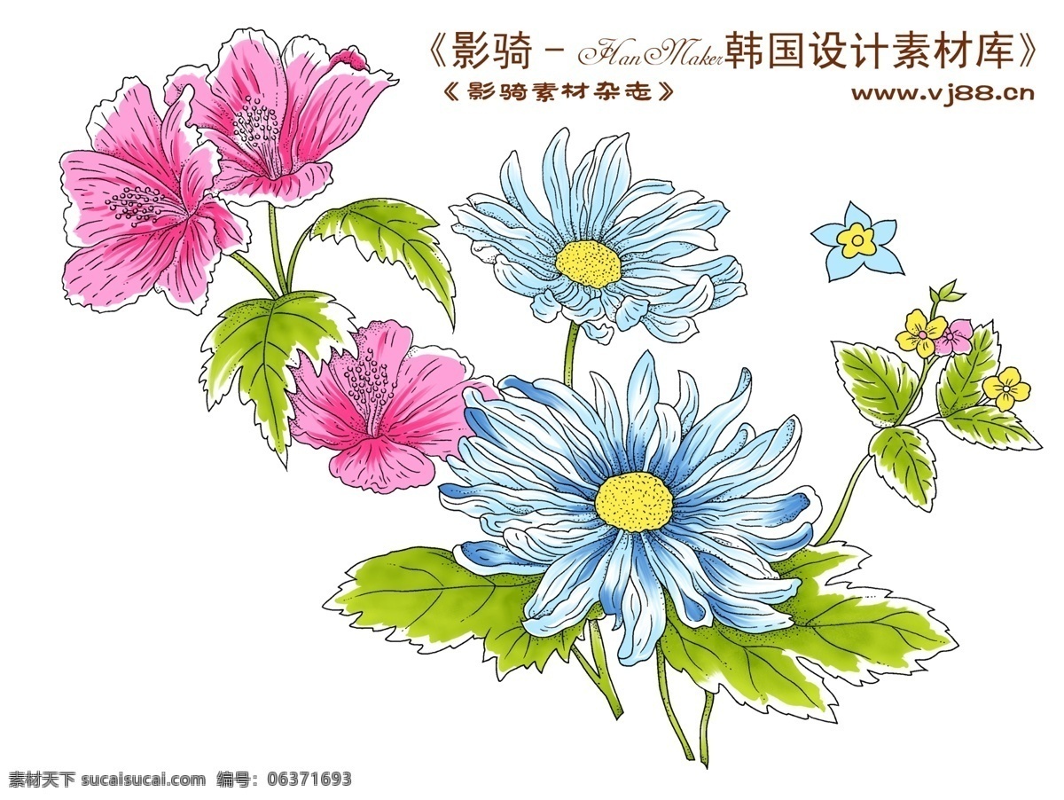 hanmaker 韩国 设计素材 库 斑驳 背景 缤纷 底纹 花 花纹 纹理 鲜艳 颜色 花坏 染印 psd源文件