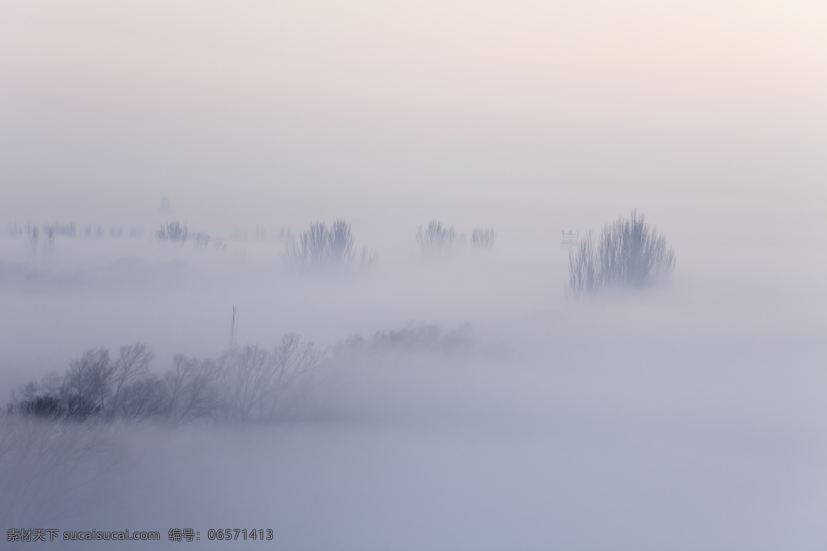 朦胧 雾 迷雾 晨雾 树木 树林 写意 印象 水墨 自然风景 自然景观