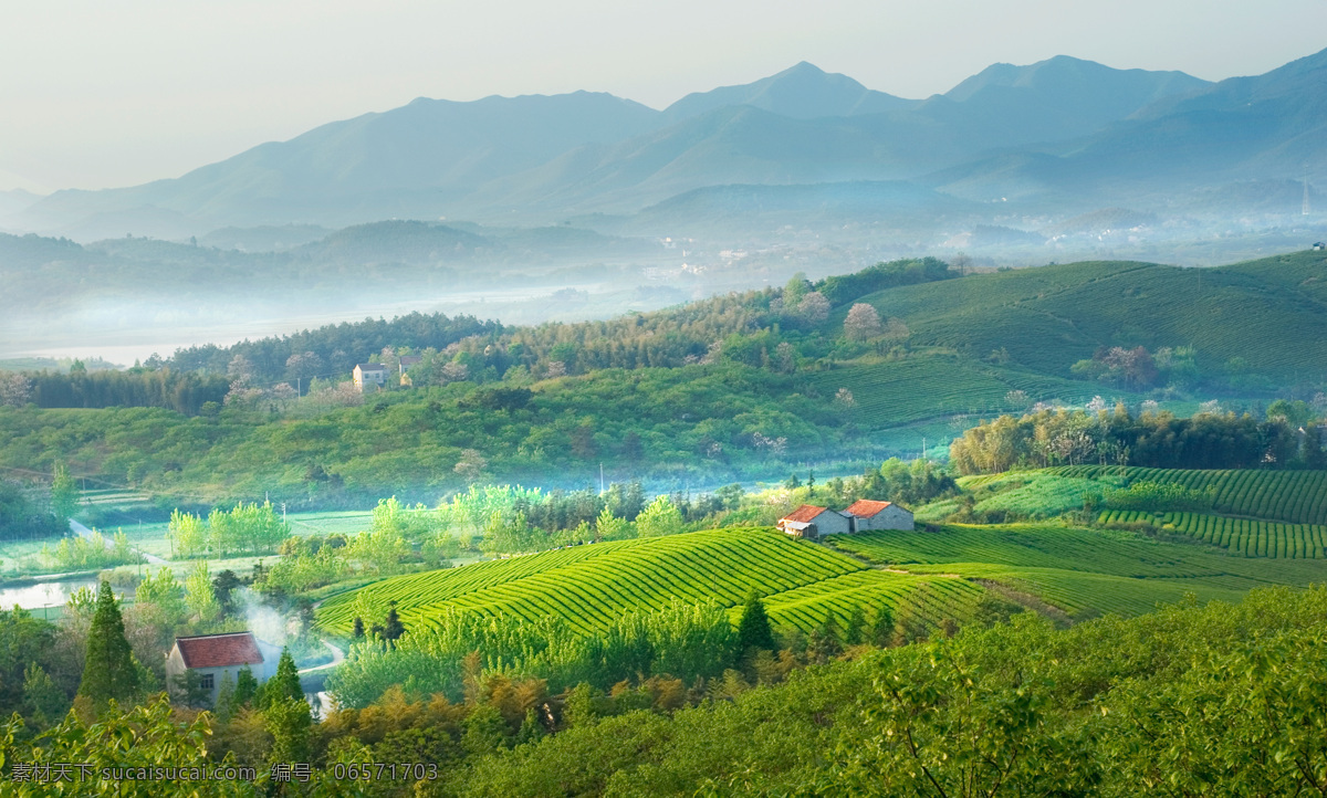 常州溧阳 南山茶园 常州 溧阳 全景 田园风光 自然景观