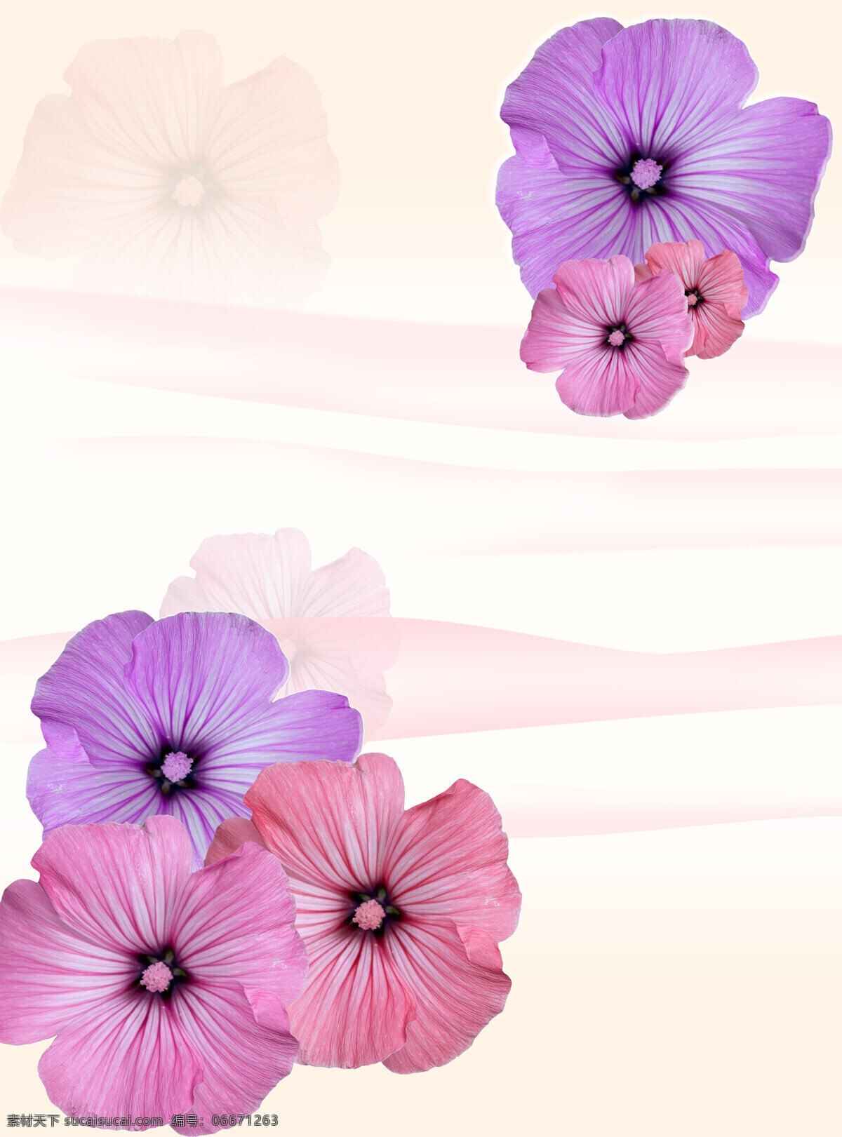 紫色 梦幻 花朵 漂亮 移门 图 移门图 淡雅