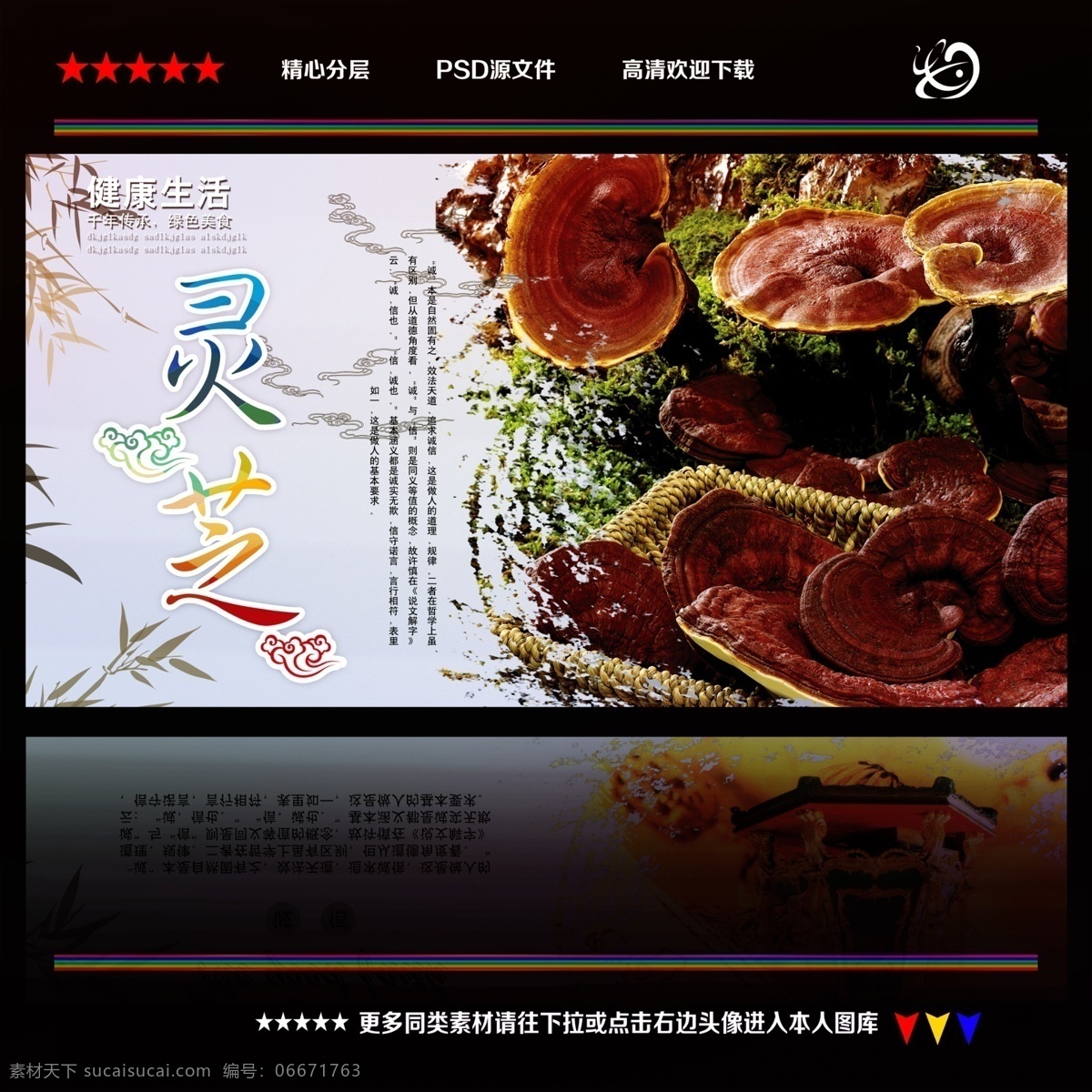 灵芝图片 灵芝 野生灵芝 野生灵芝图片 中药灵芝图片 灵芝的功效 灵芝作用图 灵芝价格图片 灵芝片 灵芝素材 灵芝挂画 中药店灵芝 灵芝用药 灵芝挂图 灵芝药店展板 灵芝孢子粉 灵芝包装素材 灵芝药店 灵芝广告 灵芝海报 灵芝茶 山色峪灵芝 灵芝价目表 中药灵芝草药 灵芝食用禁忌 灵芝吃法 中医药