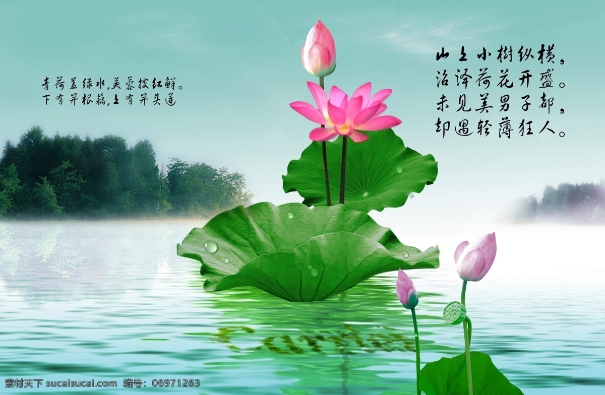 荷花 国画荷花 荷花国画 荷花图 中国画荷花 水墨荷花 爱莲说 荷花摄影 荷花图片 精美荷花 荷花的图片 荷花壁纸 荷花照片 水墨荷花图 花 分层 psd源文件