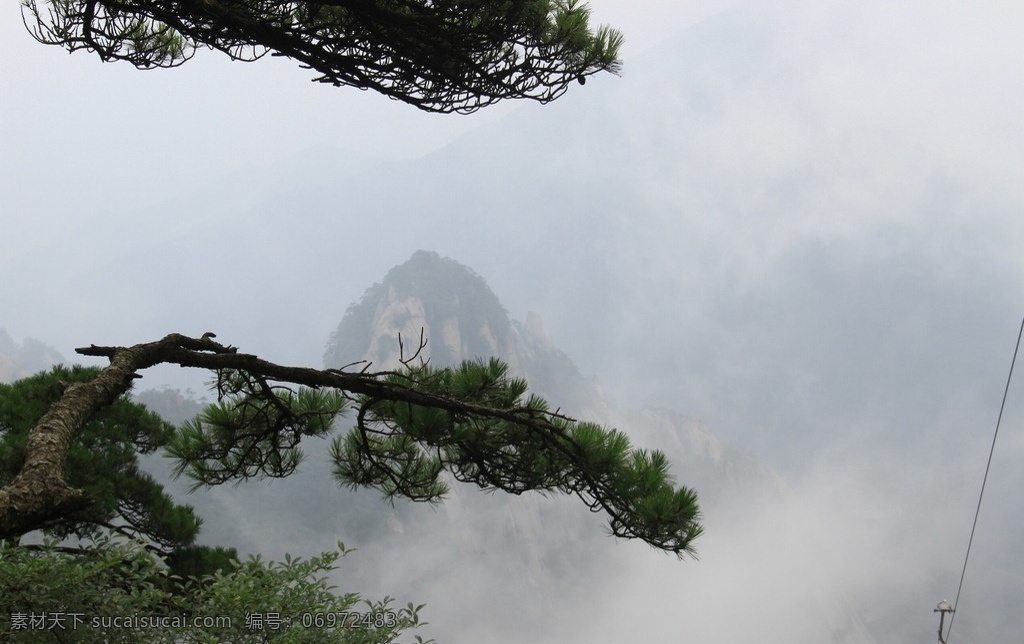 秀美黄山 秀美 天下 黄山 松树 云层 国内旅游 旅游摄影 摄影作品