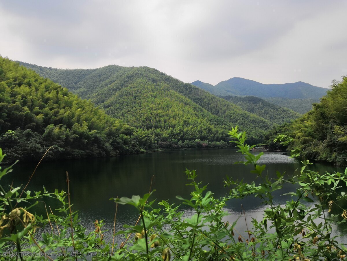 竹林 竹子和湖 湖景竹林 南山竹海 旅游摄影 国内旅游