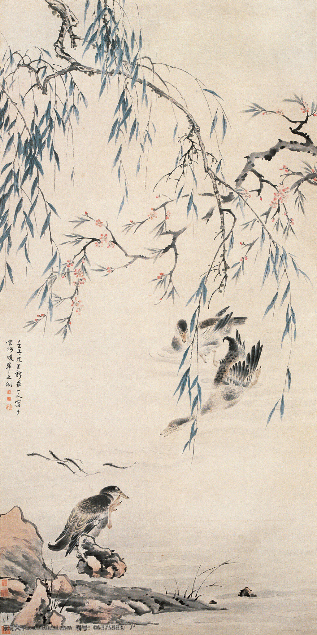 华嵒 花鸟 春江水暖 古画 临摹 详图 名作 新罗山人 写意 工笔 国画原图 绘画书法 文化艺术