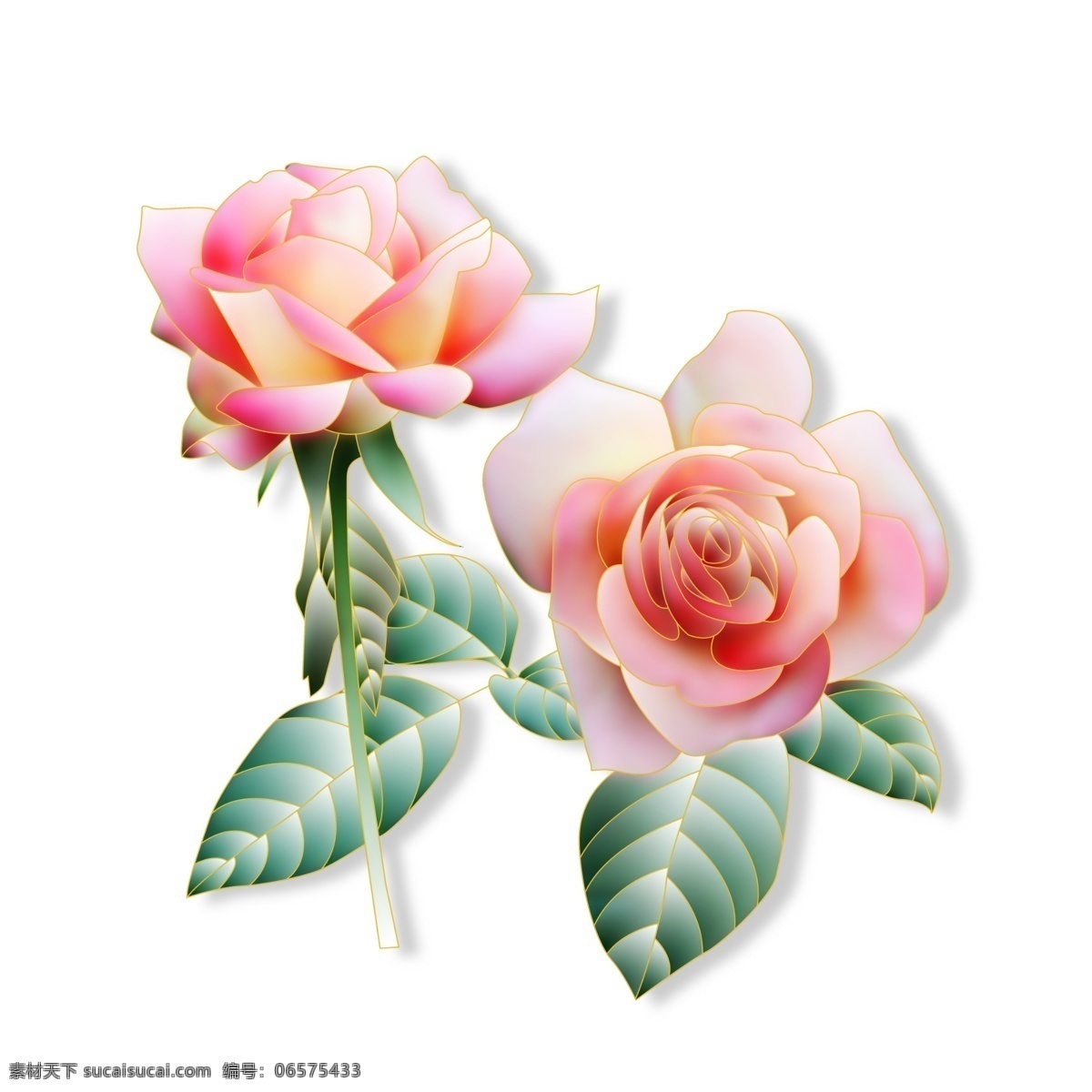 一对 美丽 迷人 鲜花 情人节 花卉 花朵 花儿 花