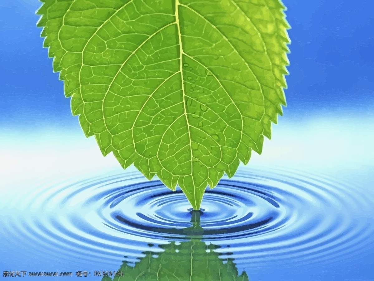 绿叶水波纹 自然 叶 湿 背景 飞溅 顶 健康 水 运动 放松 纯度 拉毛 涟漪