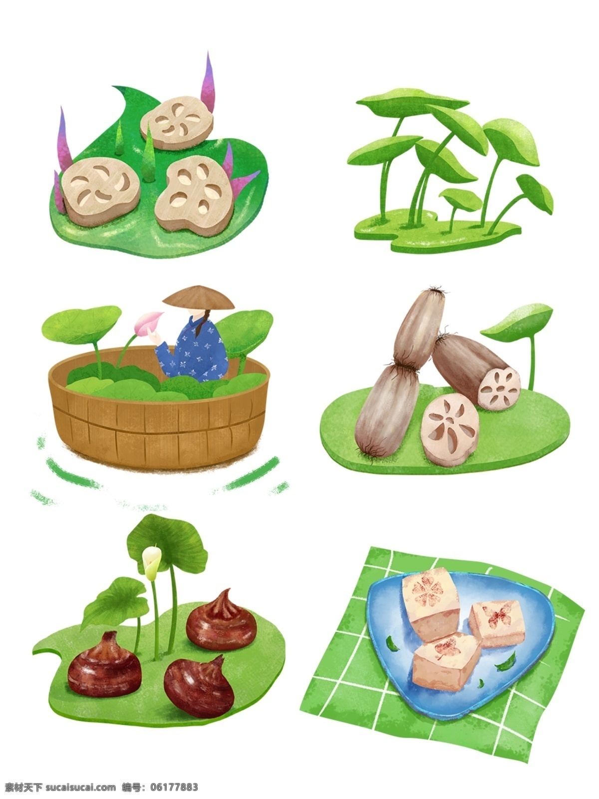 处暑 荷花 荷叶 莲藕 马蹄 套 图 人物 绿色 插画 美食 藕片 马蹄叶 莲藕糕 马蹄糕 采荷花 戴帽子人物 采花女 夏天 手绘 大暑 植物