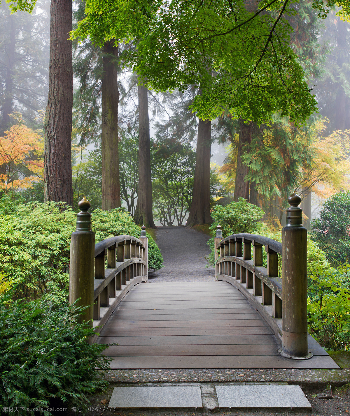 树林 里 木桥 小桥 树林风景 美丽风景 美丽景色 美景 自然风光 其他风光 风景图片