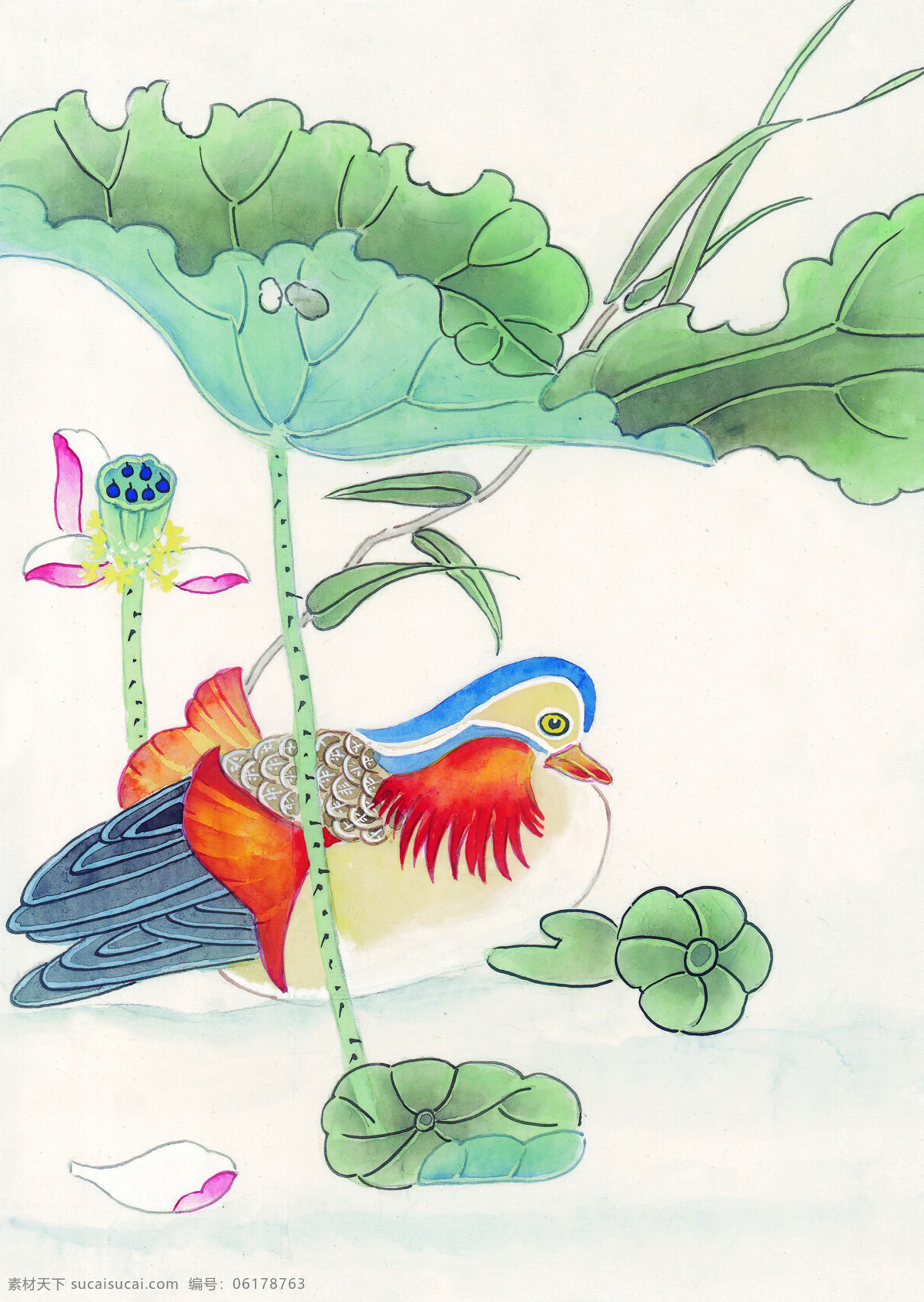 中华 艺术 绘画 古画 动物 孔雀 天鹅 鸳鸯 凤凰 中国 古代 传统绘画艺术 美术绘画 名画欣赏 水彩画 水墨画 文化艺术