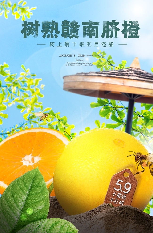 橙子 水果 活动 宣传海报 橙子水果 宣传 海报 餐饮美食 类