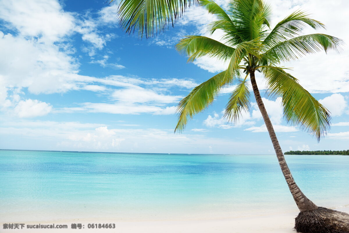 海景 椰子树 蓝色 背景 小 清新 背景图片 小清新 海边 大海 树木 热带植物 植被 植物 小清新背景 蓝色背景 海边背景 大海背景 白色