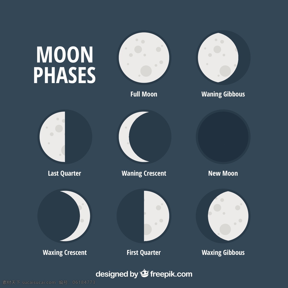 月相集 日历 天空 月亮 数字 时间 平面 夜晚 平面设计 时间表 规划师 夜空 宇宙 年 季节 占星术 月 满月 周计划者 集