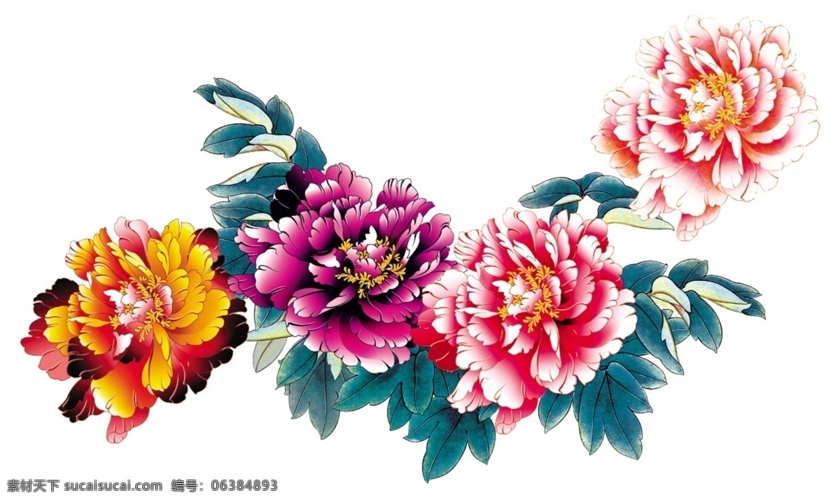 高清 牡丹花 免费 文件 psd源文件