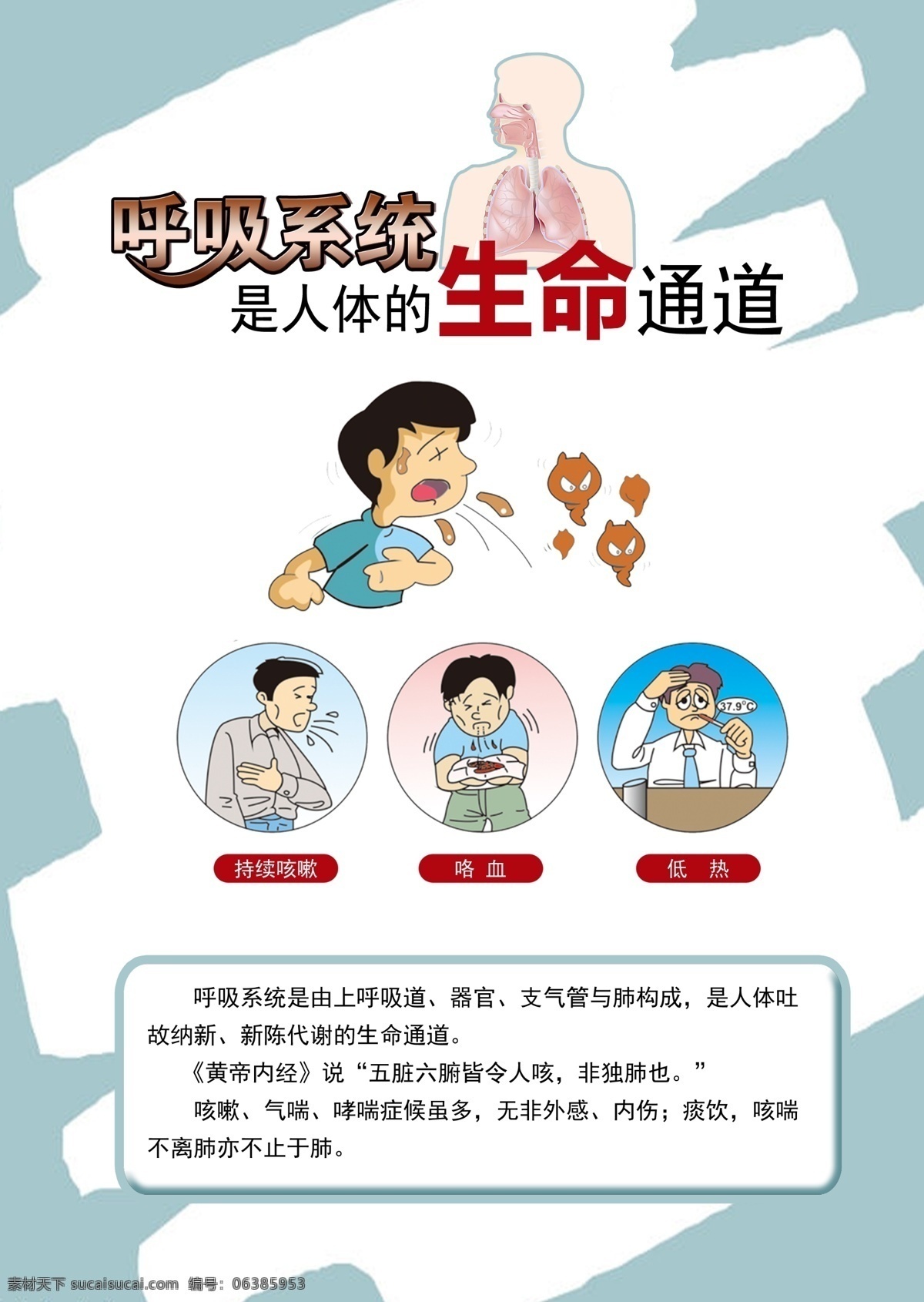 呼吸道 疾病 psd源文件 宣传图 300pdi 呼吸道系统图 介绍 海报 呼吸道排毒 原创设计 原创海报