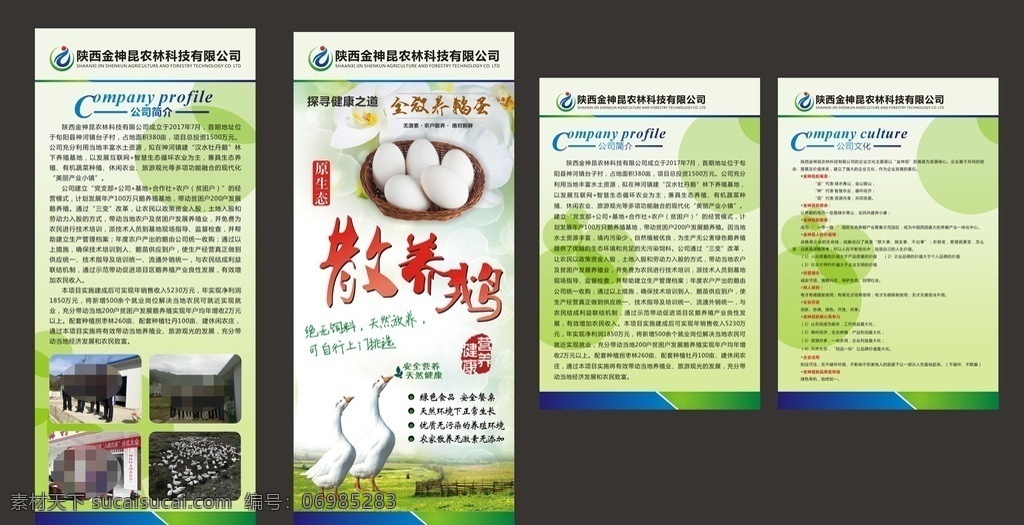 农业宣传广告 农业宣传 散养鹅 鹅蛋 绿色展架背景 企业文化 公司简介