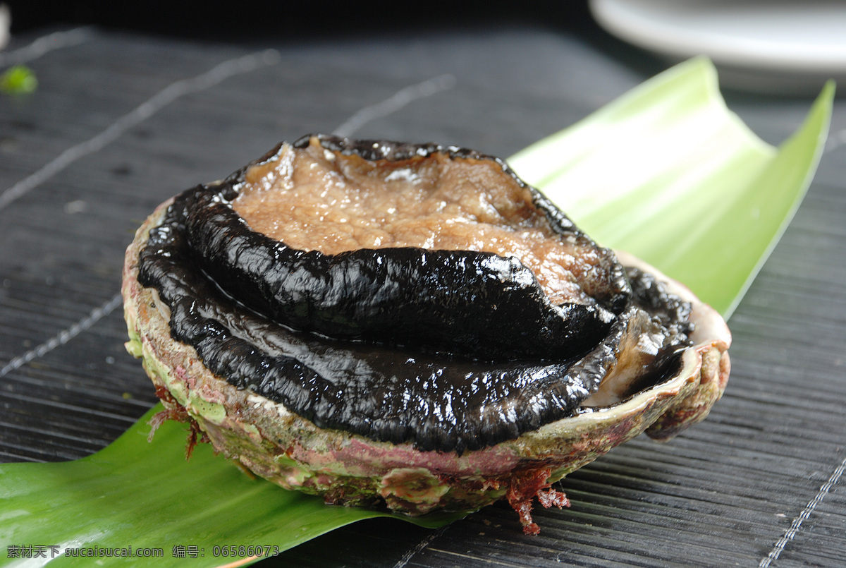 澳洲大鲍鱼 鲍鱼 海洋生物 生物世界