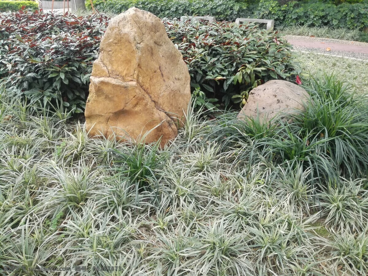 草坪 石头 石 草地 绿叶 大石 小石 植物 背景 生物世界 花草