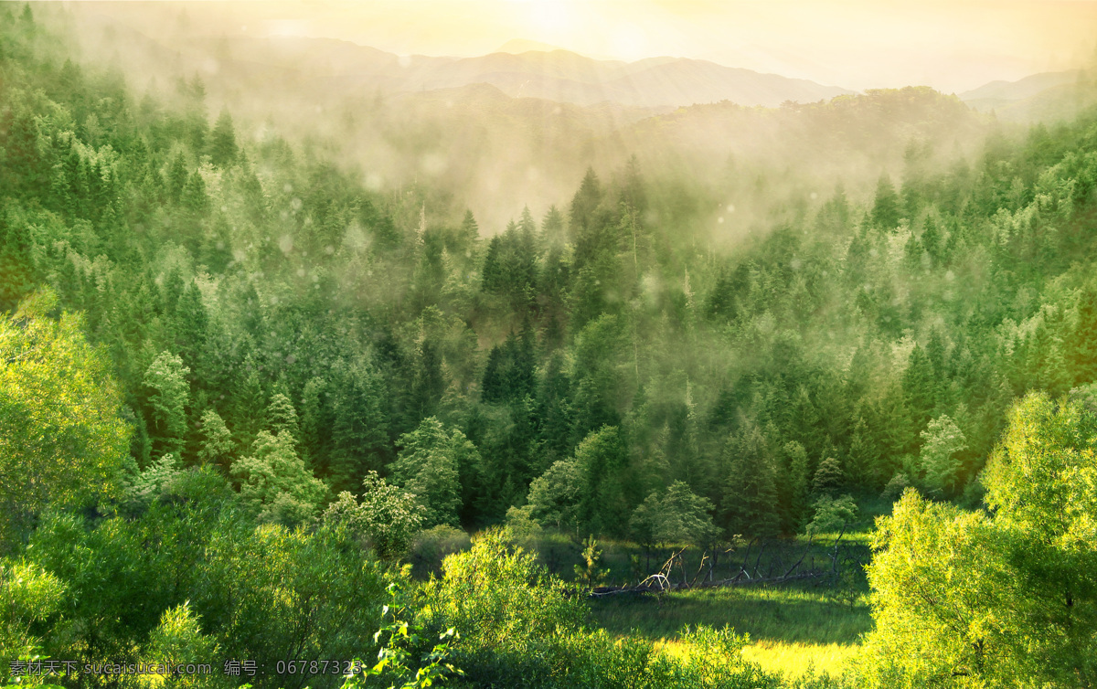 梦幻森林 梦幻 森林 丛林 树林 热带 雨林 童话 唯美 场景 背景 高清 合成 自然景观 自然风光