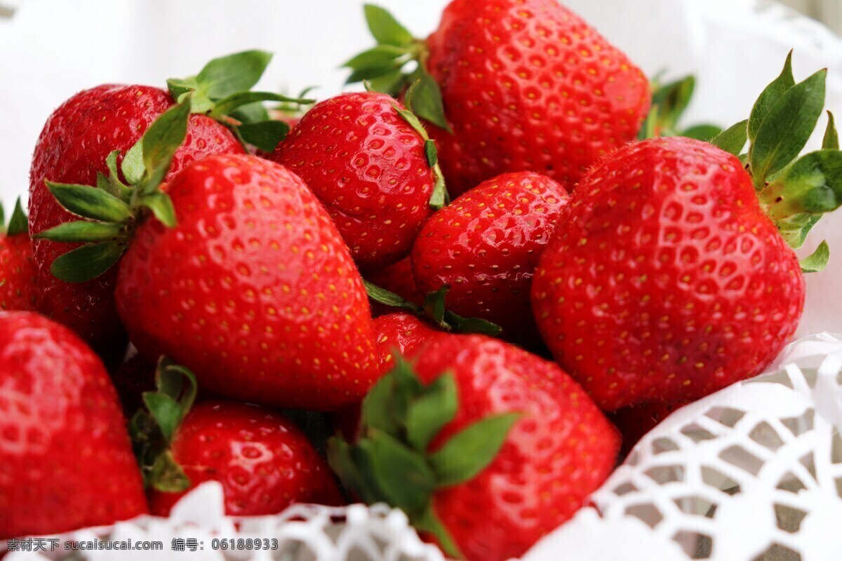 草莓 水果 新鲜水果 新鲜草莓 红色草莓 草莓特写 生物世界